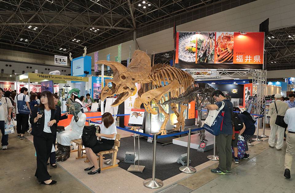 Tourism EXPO Japan 2019.jpg